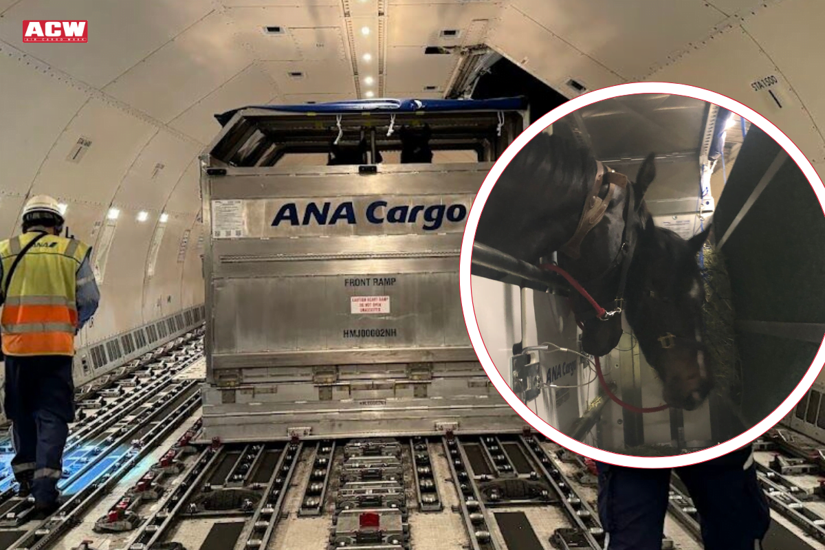 ANA Cargo