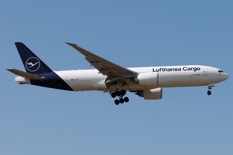 Lufthansa Cargo transported a Valais Blacknose sheep: video